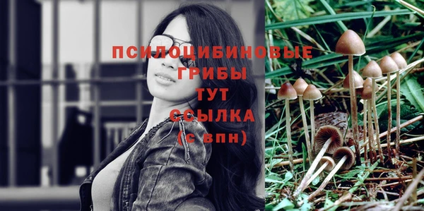 молекула духа Аркадак