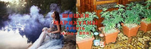 ГАЛЛЮЦИНОГЕННЫЕ ГРИБЫ Новодвинск