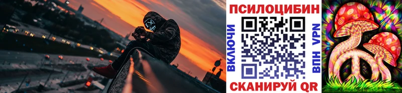 mega как зайти  Суровикино  Галлюциногенные грибы Magic Shrooms  цена наркотик 